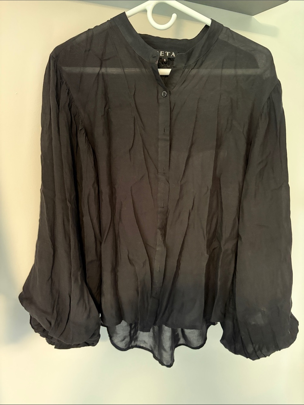ETA Black Sheer Button-Up Blouse with Band Collar